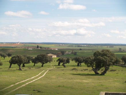 ruta_toro_03.JPG